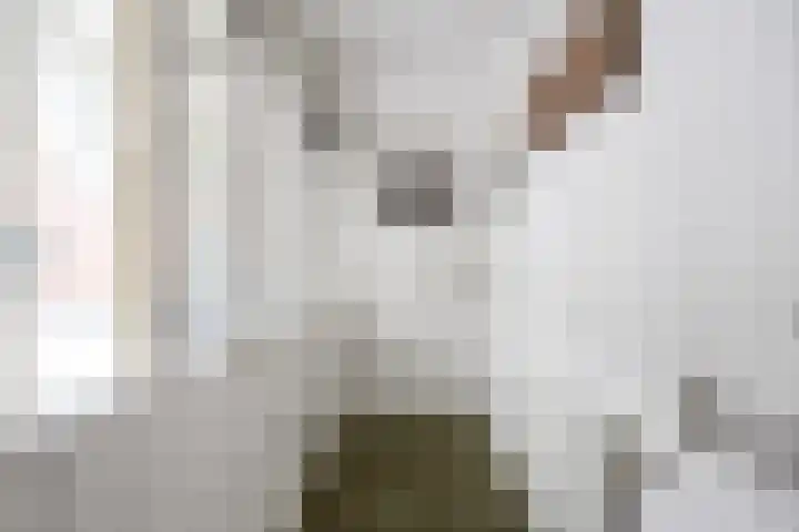 Melkvaaller 2 Westeremden thumbnail 14