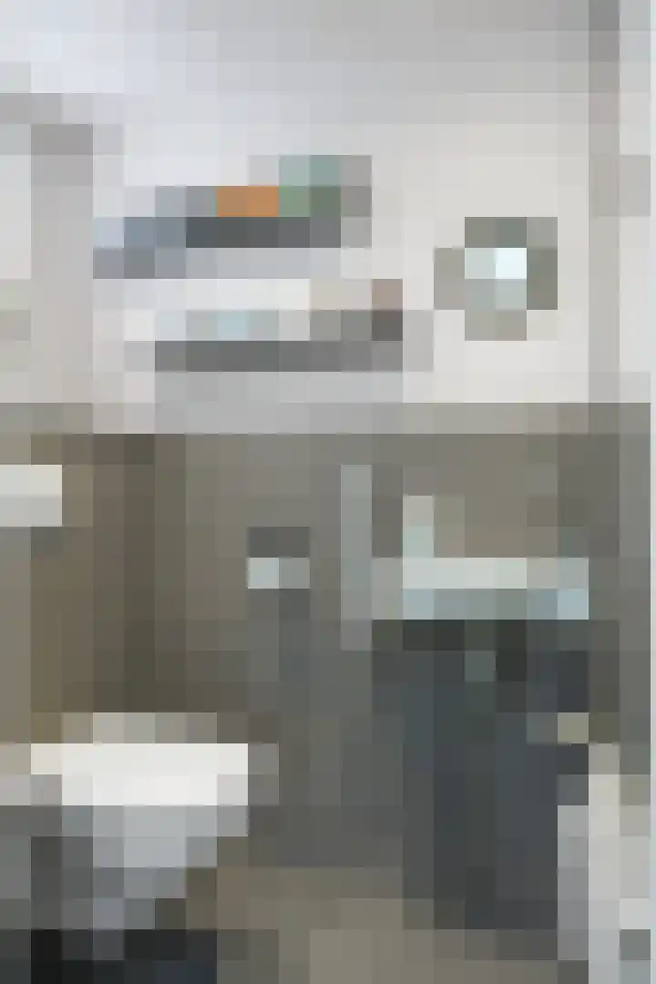 Melkvaaller 2 Westeremden thumbnail 16