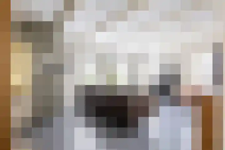 Melkvaaller 2 Westeremden thumbnail 17