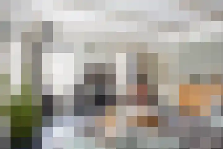 Melkvaaller 2 Westeremden thumbnail 20