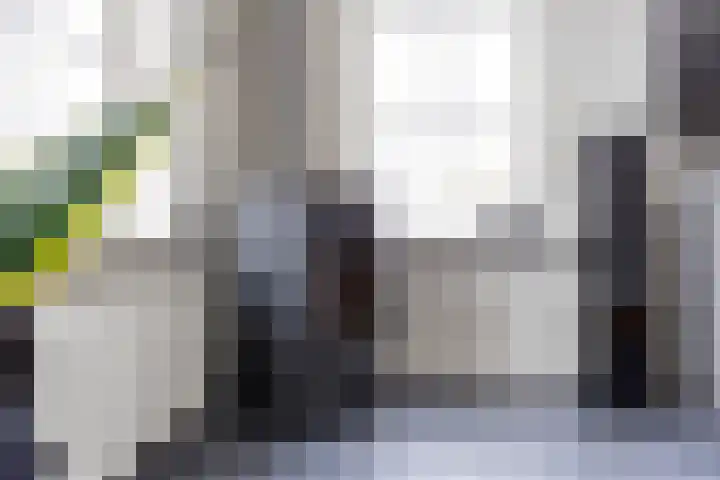Melkvaaller 2 Westeremden thumbnail 21