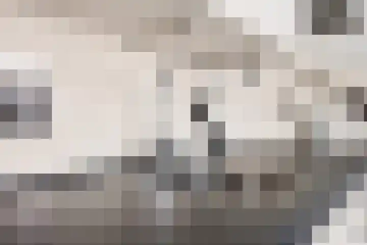Melkvaaller 2 Westeremden thumbnail 27
