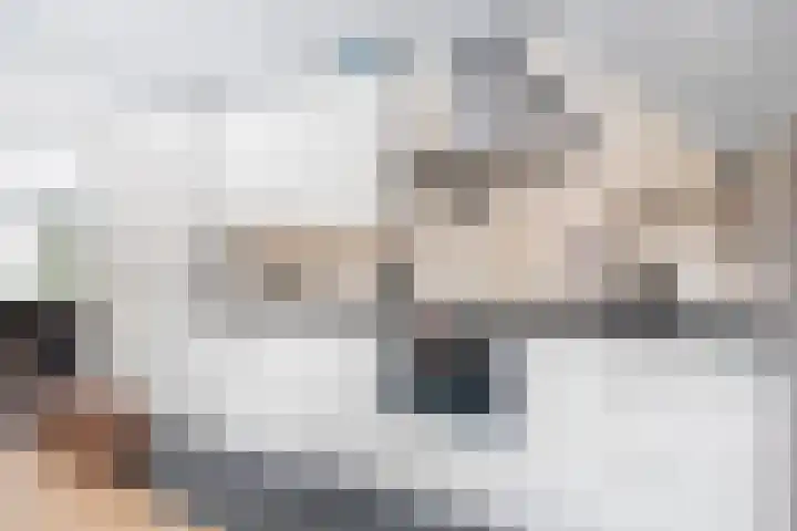 Melkvaaller 2 Westeremden thumbnail 28
