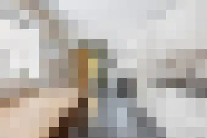 Melkvaaller 2 Westeremden thumbnail 29