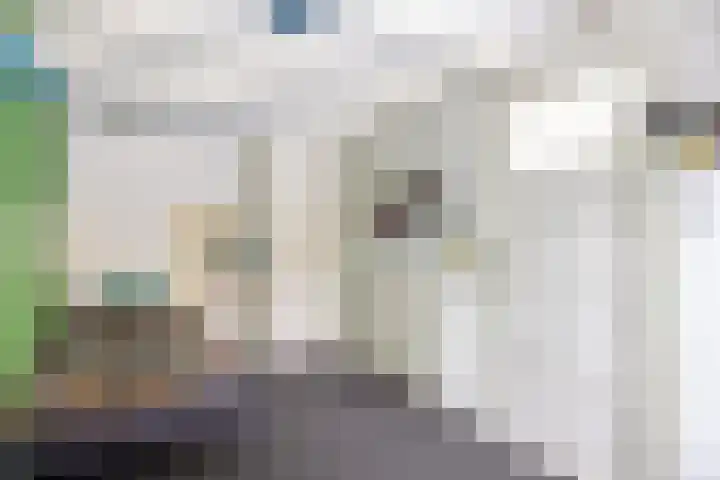 Melkvaaller 2 Westeremden thumbnail 34