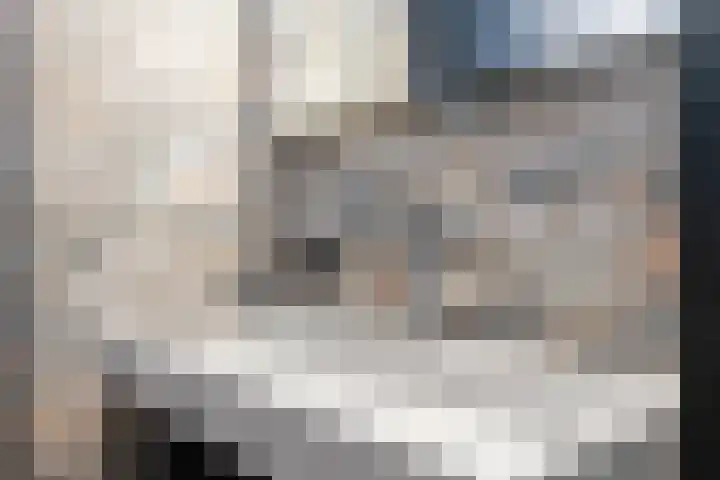 Melkvaaller 2 Westeremden thumbnail 41
