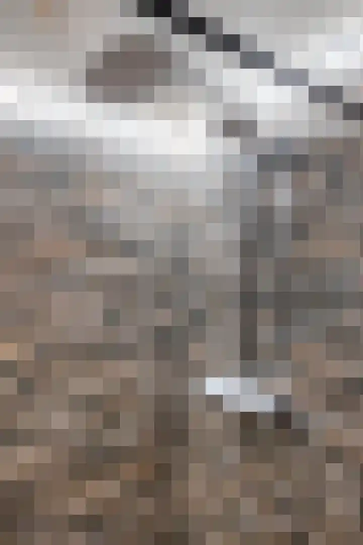 Melkvaaller 2 Westeremden thumbnail 42