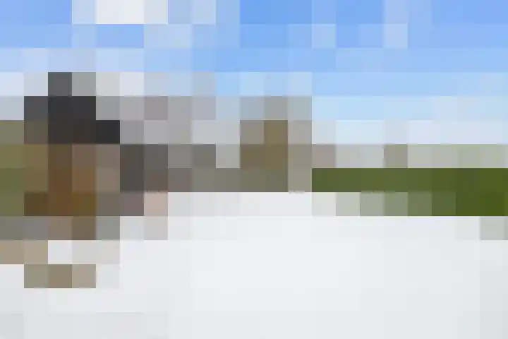 Melkvaaller 2 Westeremden thumbnail 45