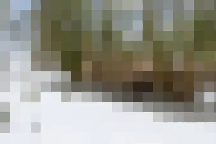 Melkvaaller 2 Westeremden thumbnail 58