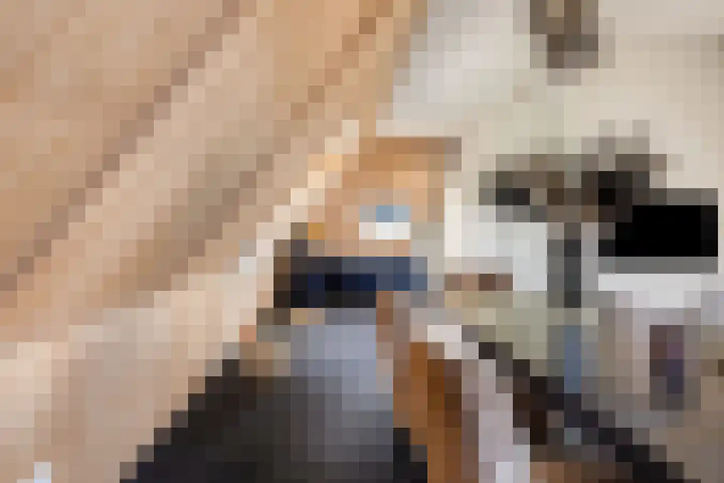 Melkveeweg 2 Middenbeemster thumbnail 101