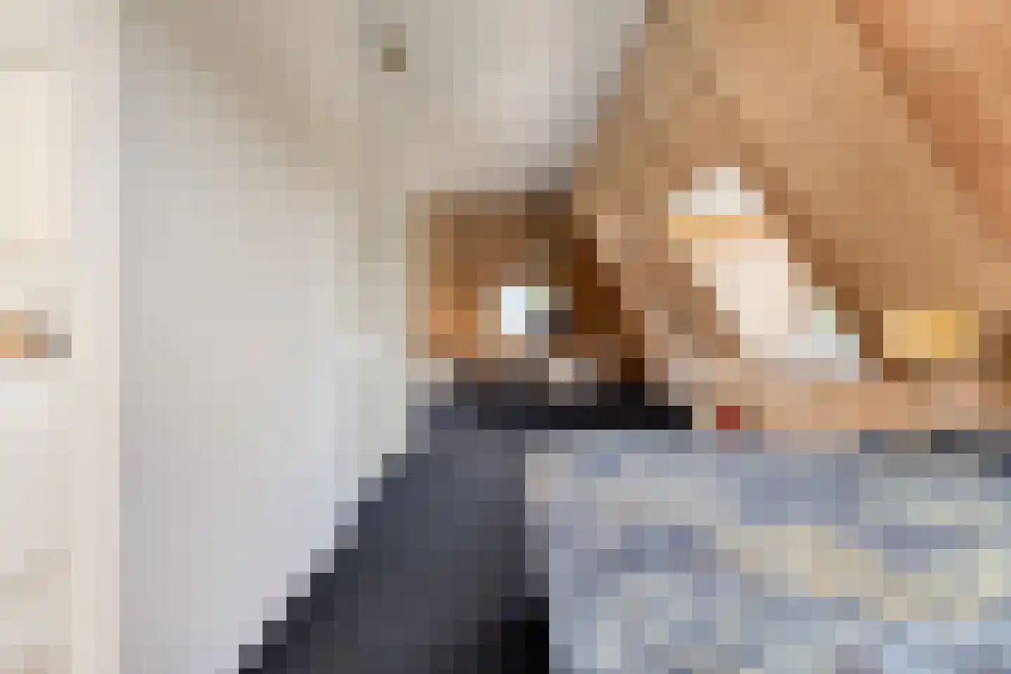 Melkveeweg 2 Middenbeemster thumbnail 103