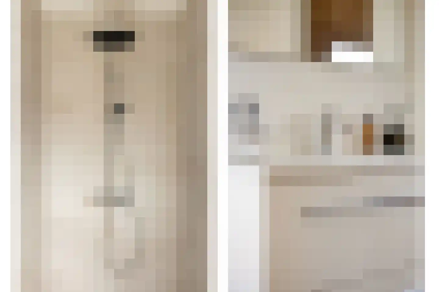Melkveeweg 2 Middenbeemster thumbnail 105