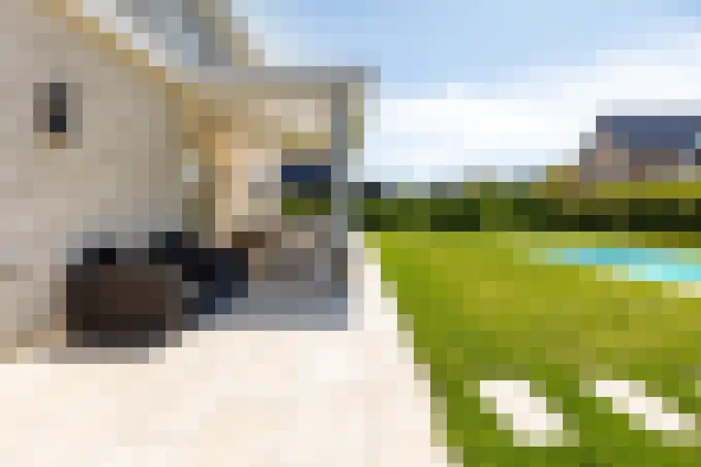 Melkveeweg 2 Middenbeemster thumbnail 114