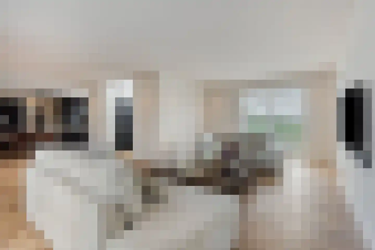 Melkveeweg 2 Middenbeemster thumbnail 12