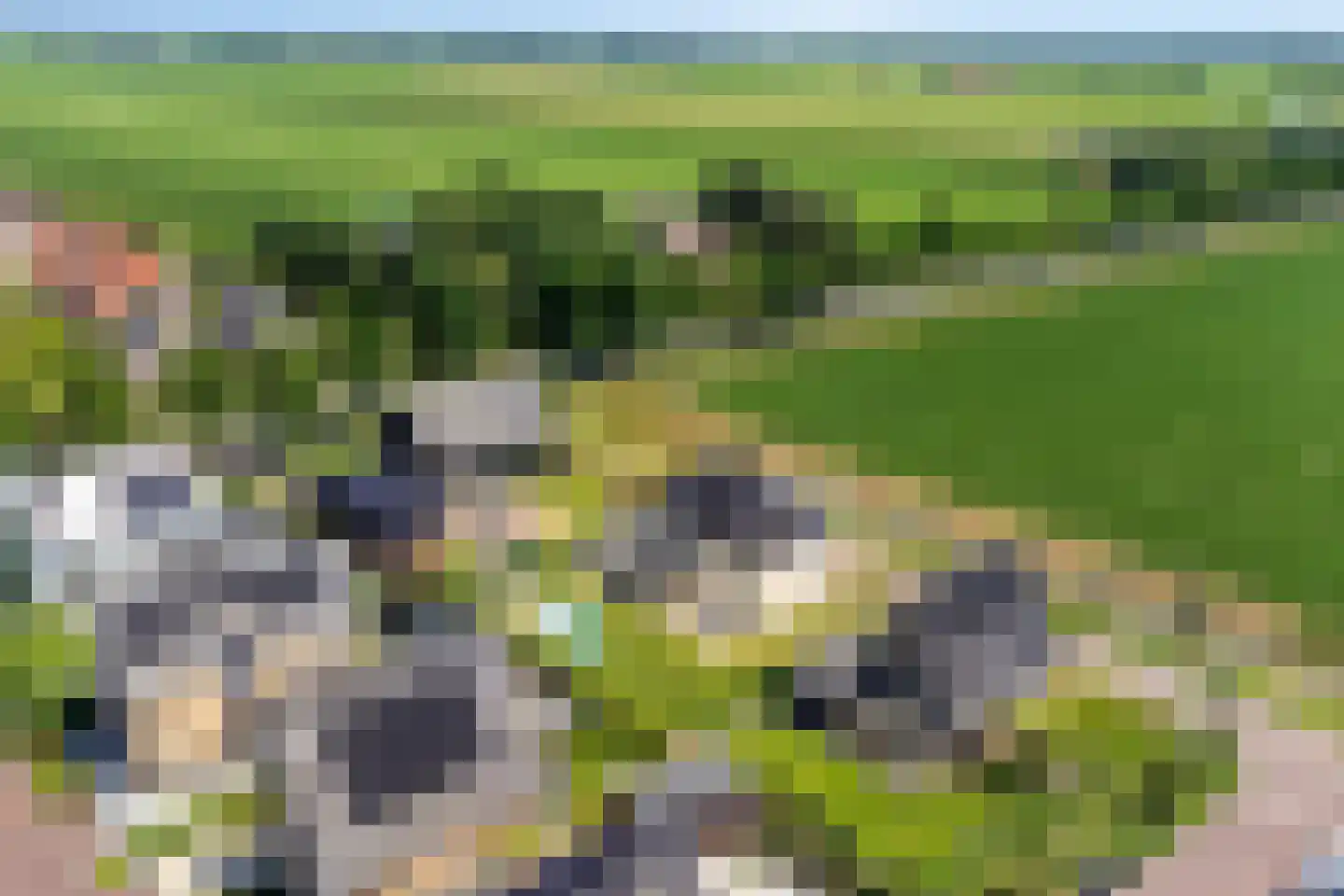 Melkveeweg 2 Middenbeemster thumbnail 120