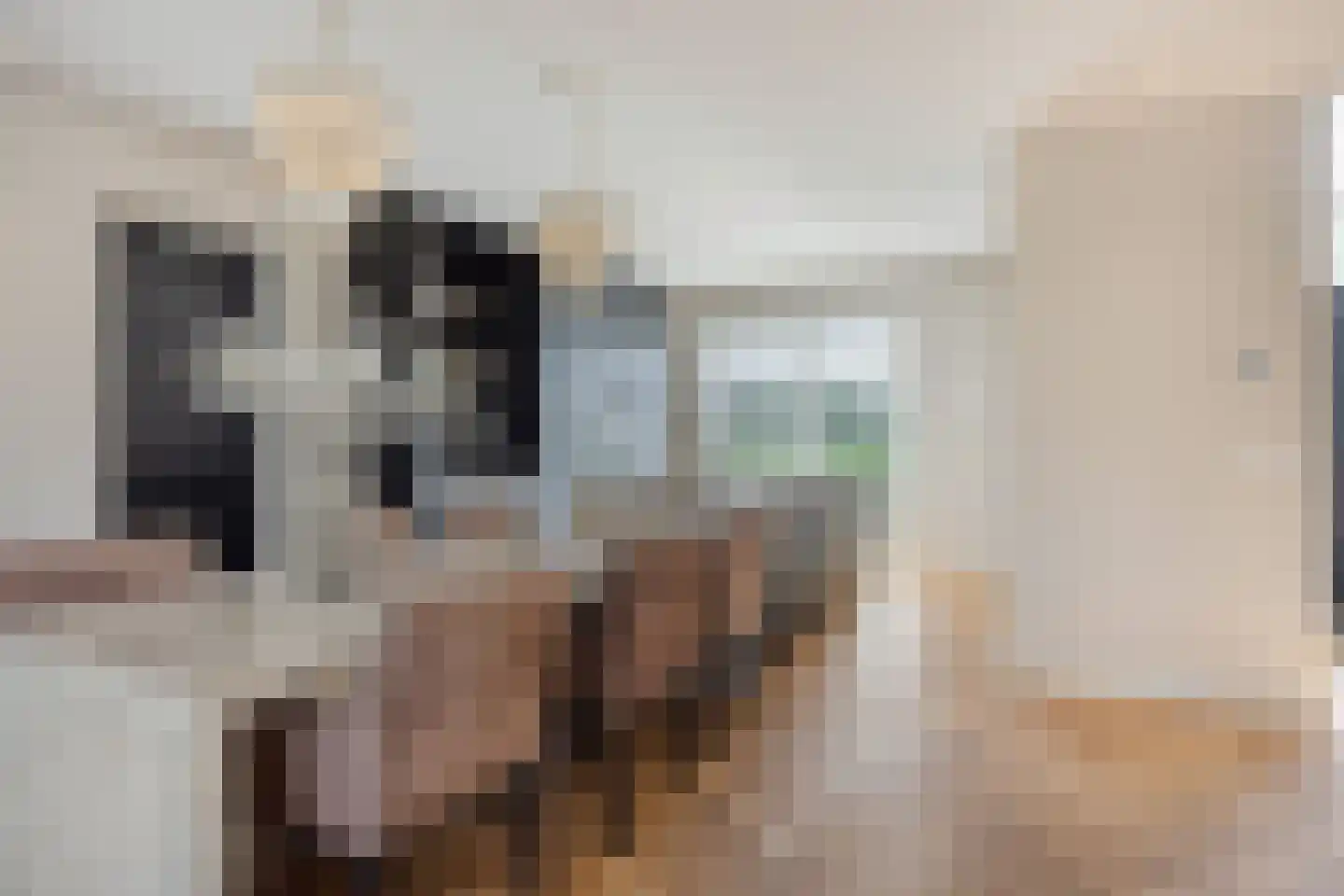 Melkveeweg 2 Middenbeemster thumbnail 16