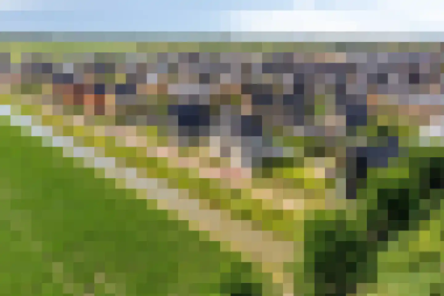 Melkveeweg 2 Middenbeemster thumbnail 17