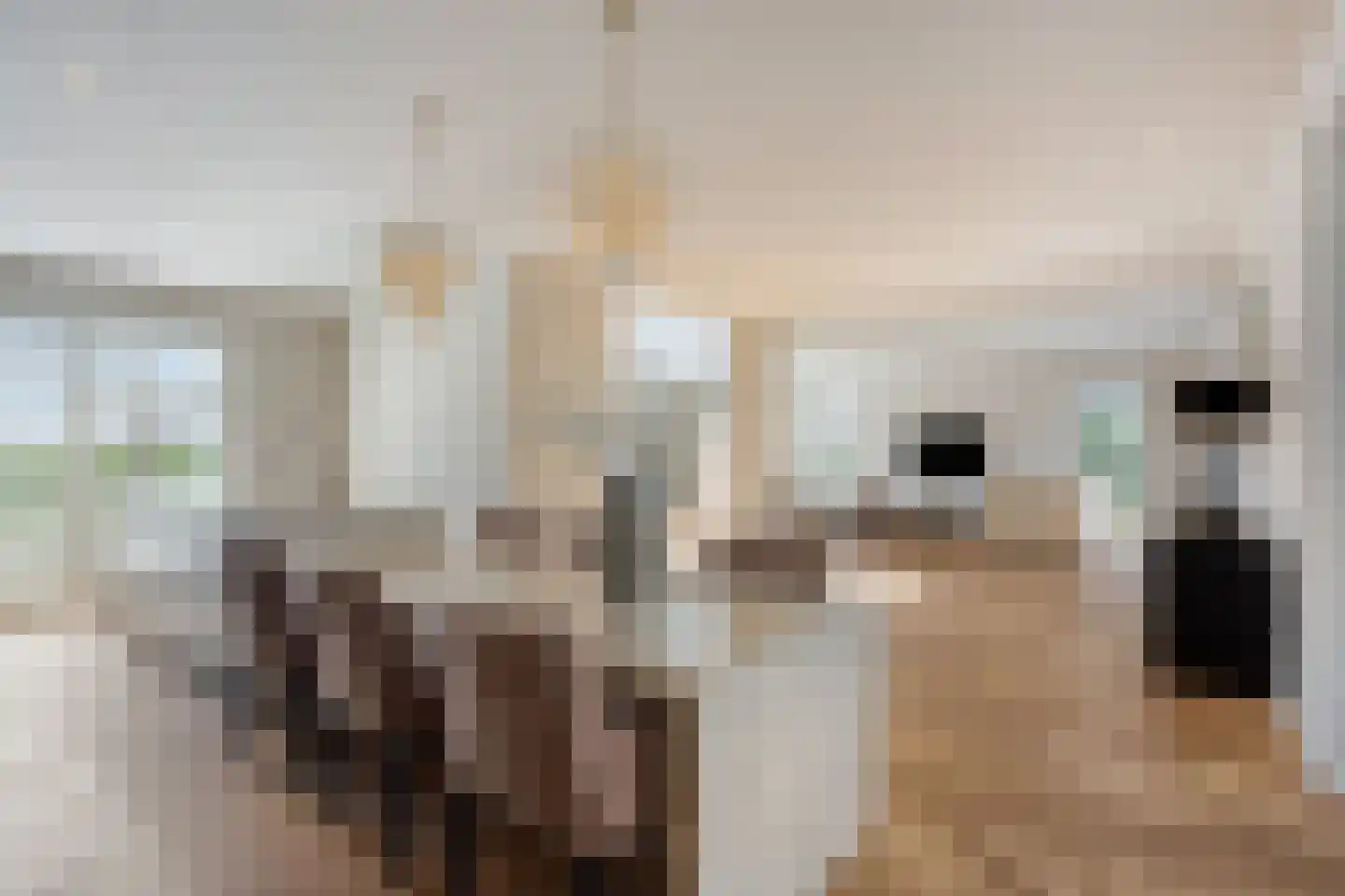 Melkveeweg 2 Middenbeemster thumbnail 18
