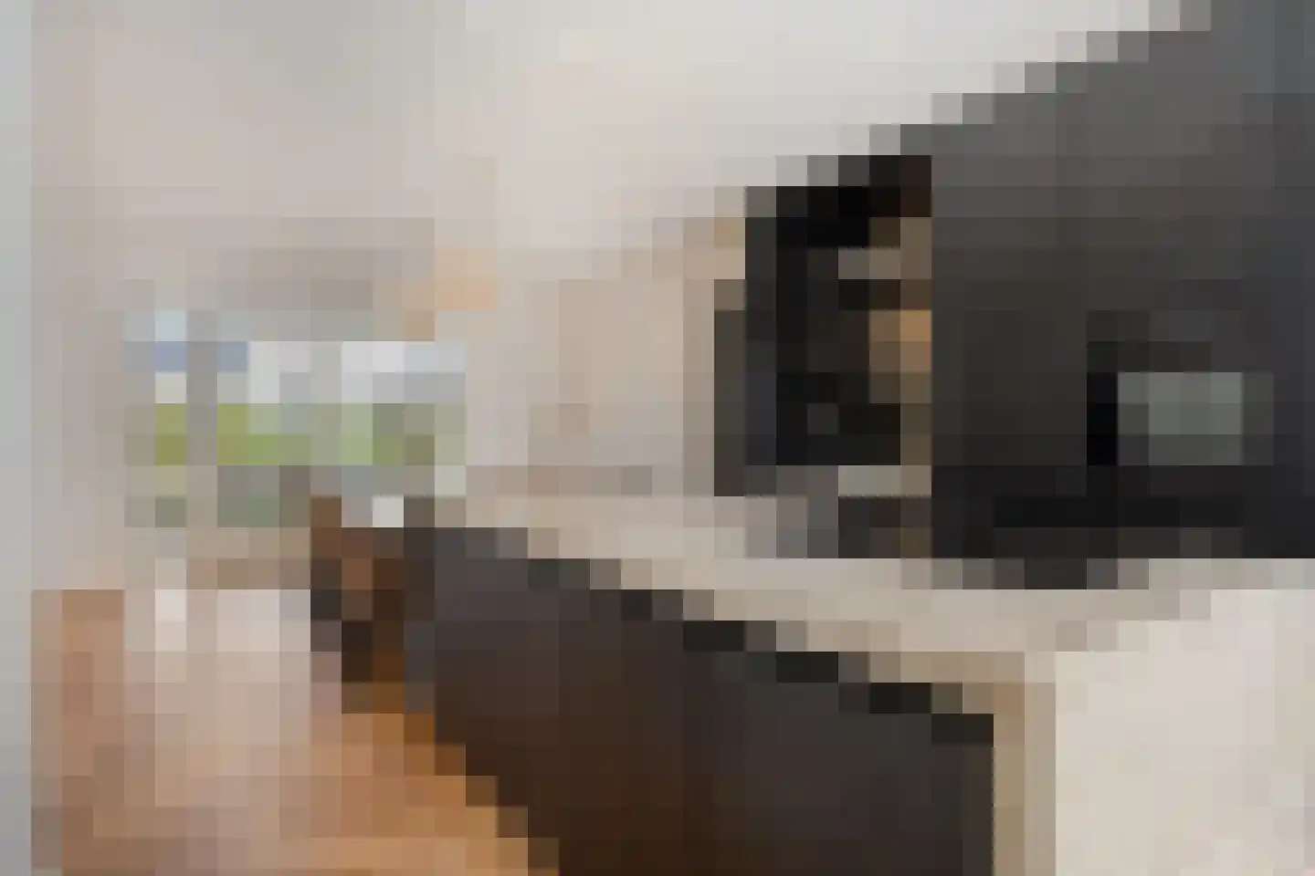 Melkveeweg 2 Middenbeemster thumbnail 20