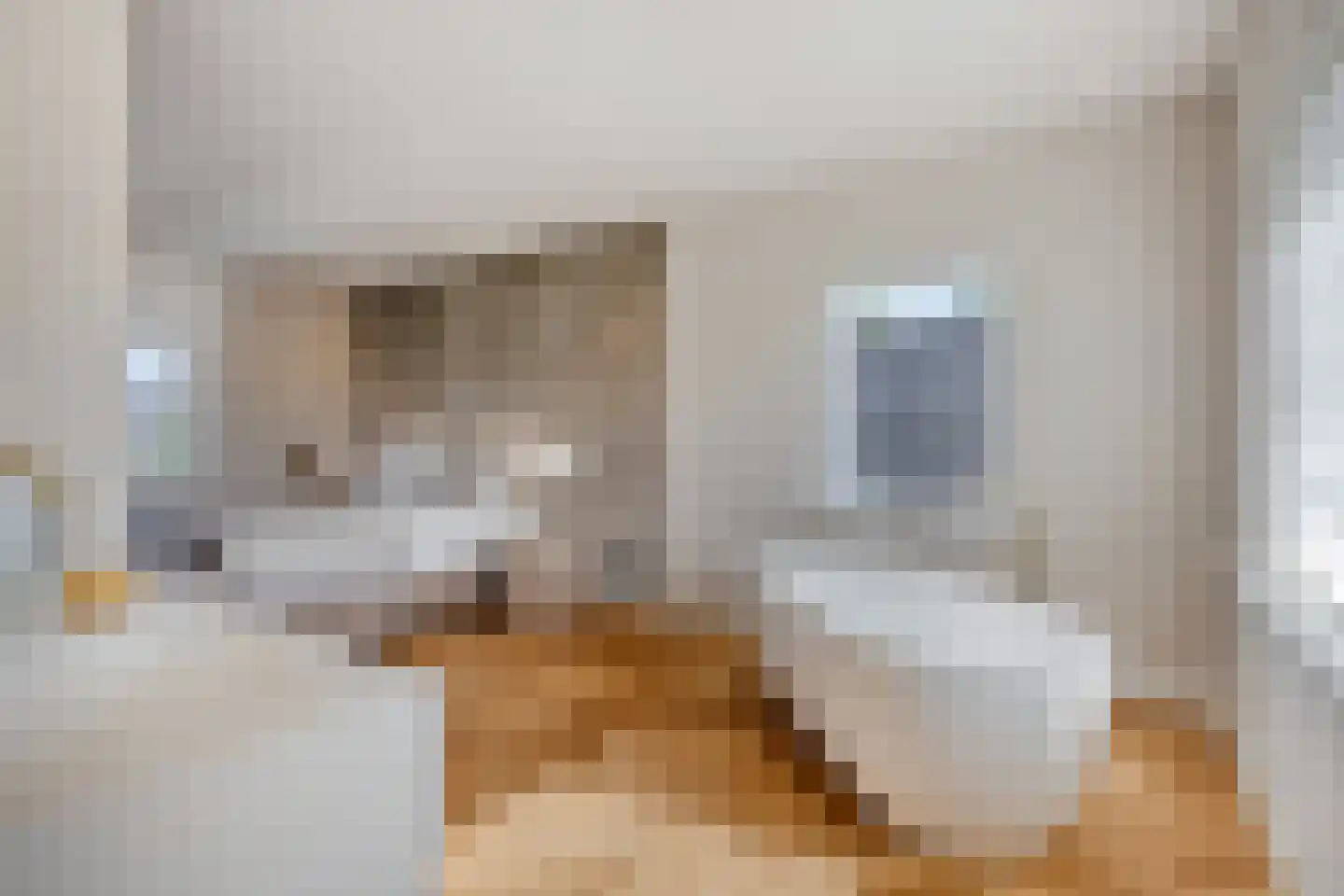 Melkveeweg 2 Middenbeemster thumbnail 34