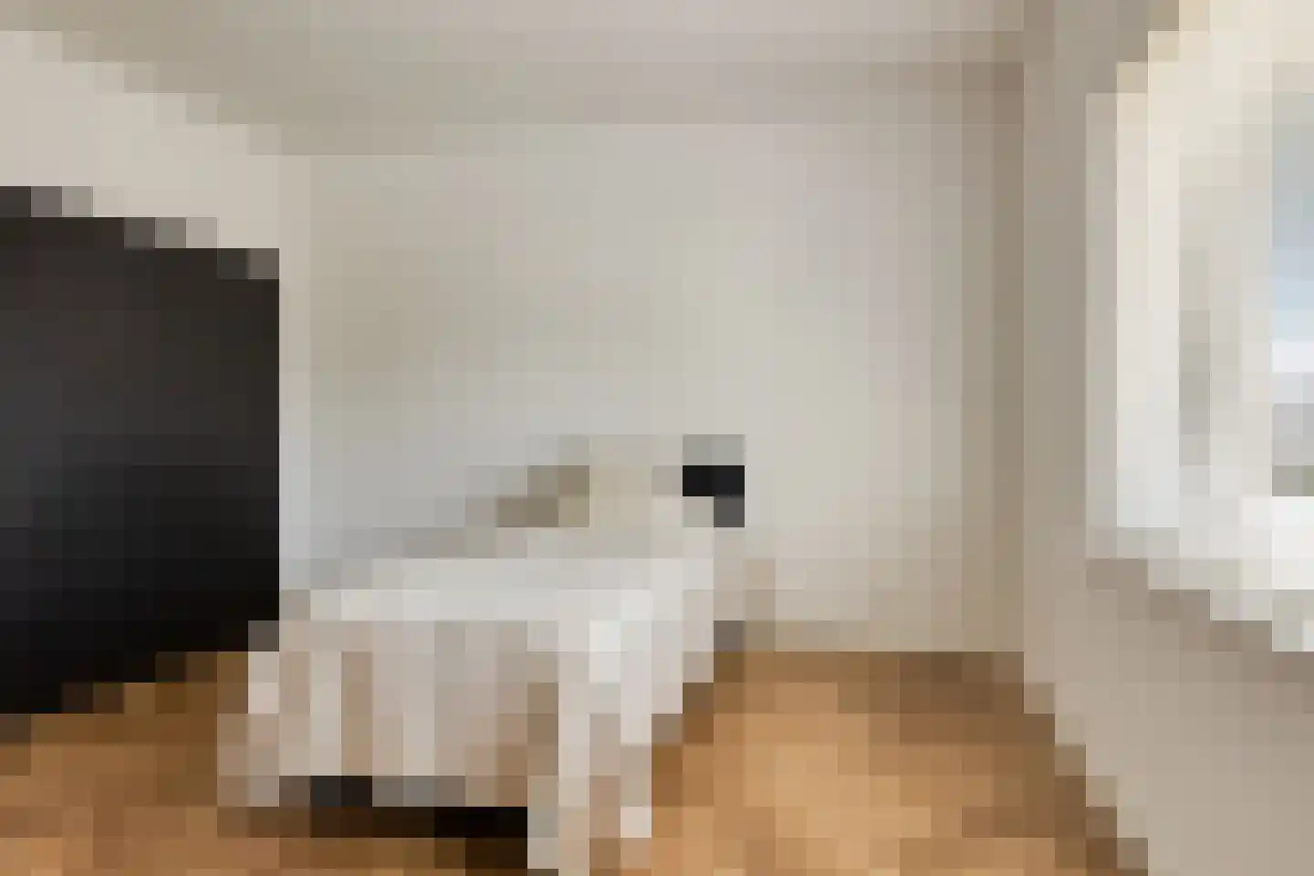 Melkveeweg 2 Middenbeemster thumbnail 36