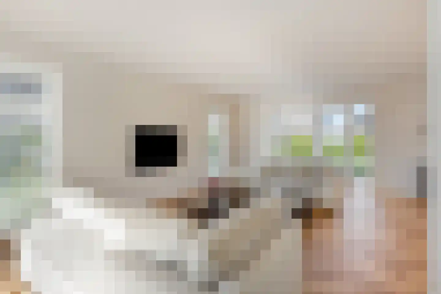 Melkveeweg 2 Middenbeemster thumbnail 36