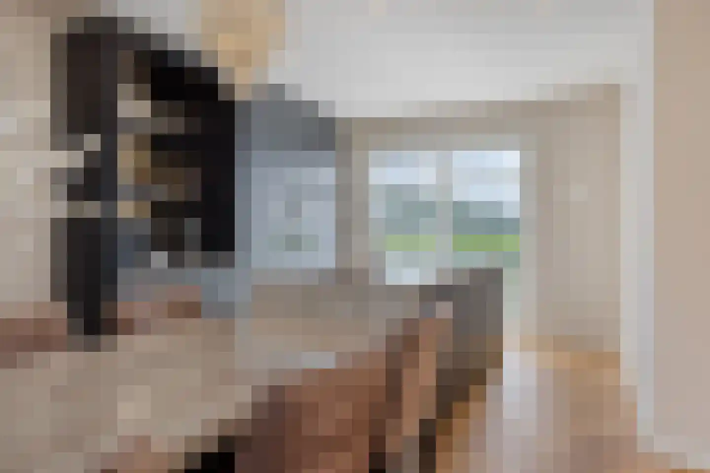 Melkveeweg 2 Middenbeemster thumbnail 52