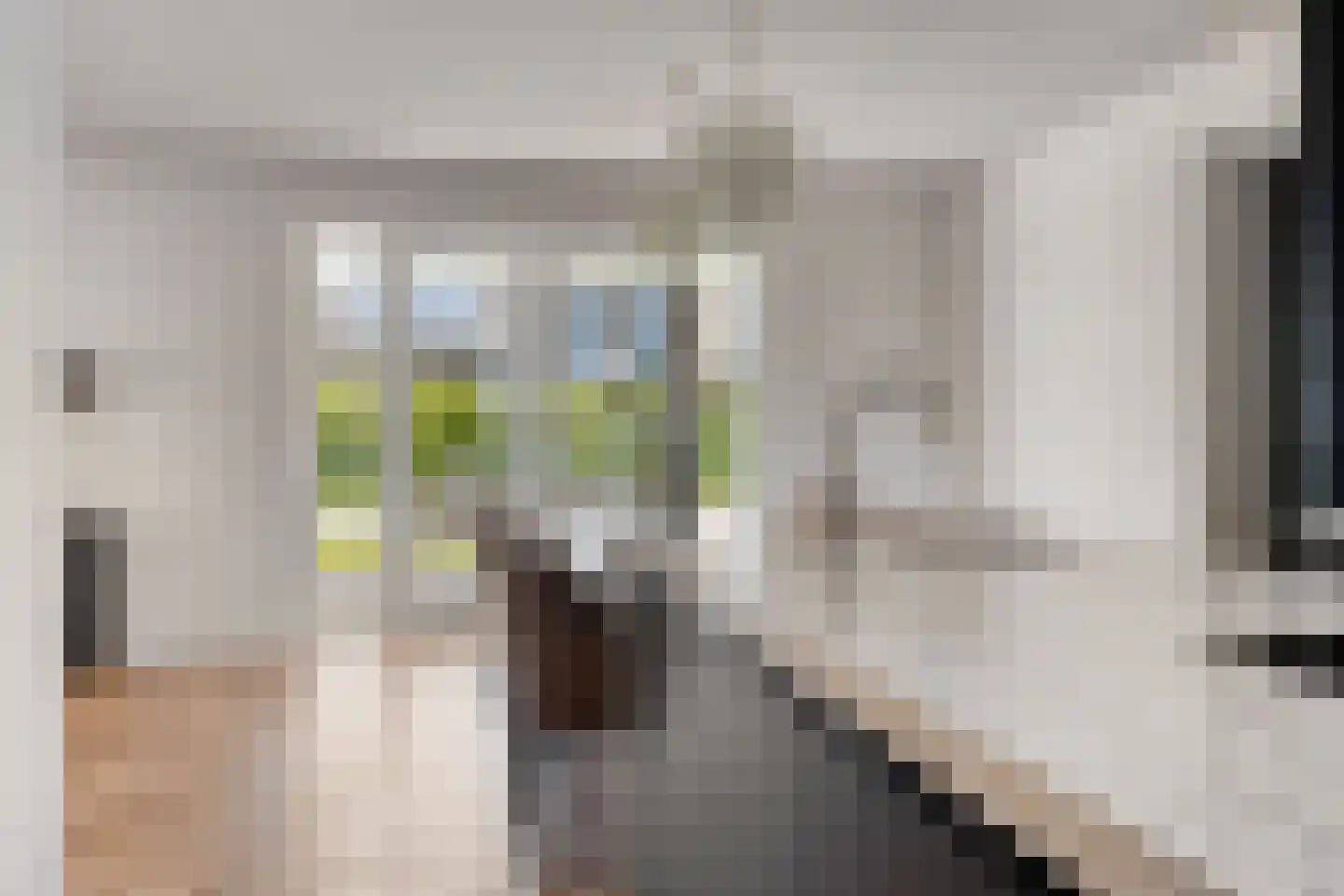 Melkveeweg 2 Middenbeemster thumbnail 56