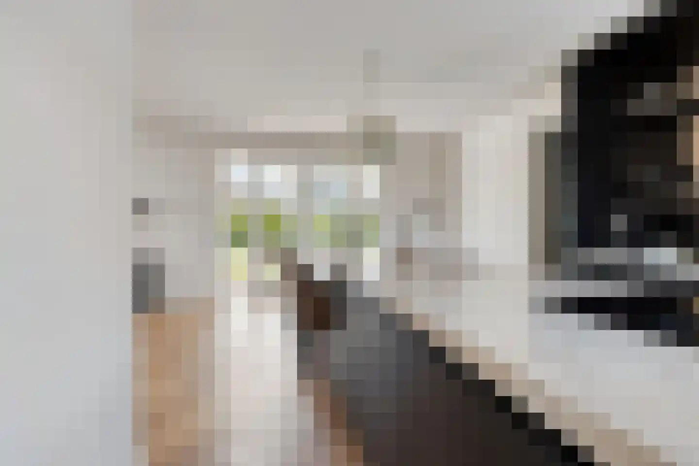 Melkveeweg 2 Middenbeemster thumbnail 57