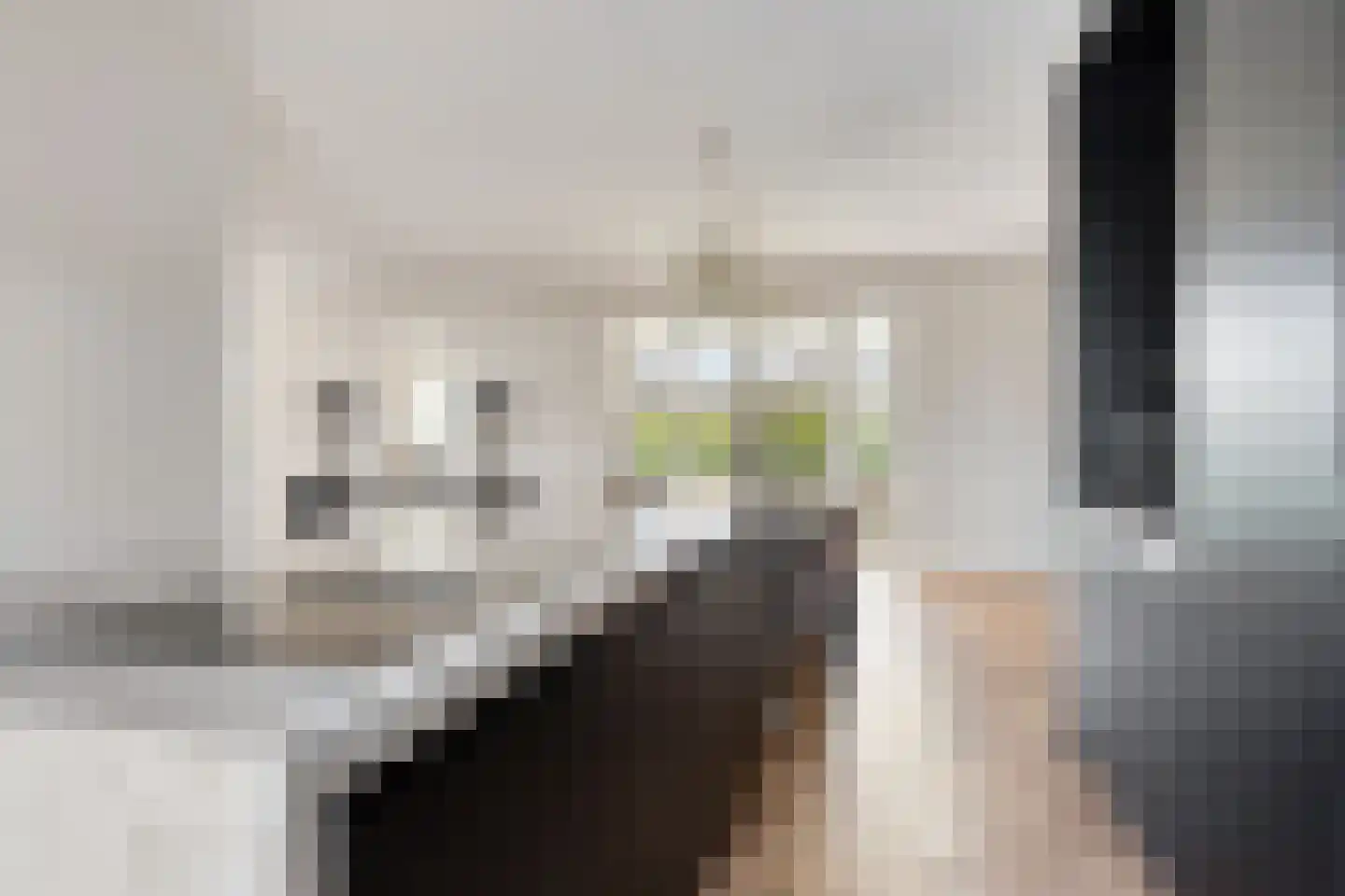 Melkveeweg 2 Middenbeemster thumbnail 59