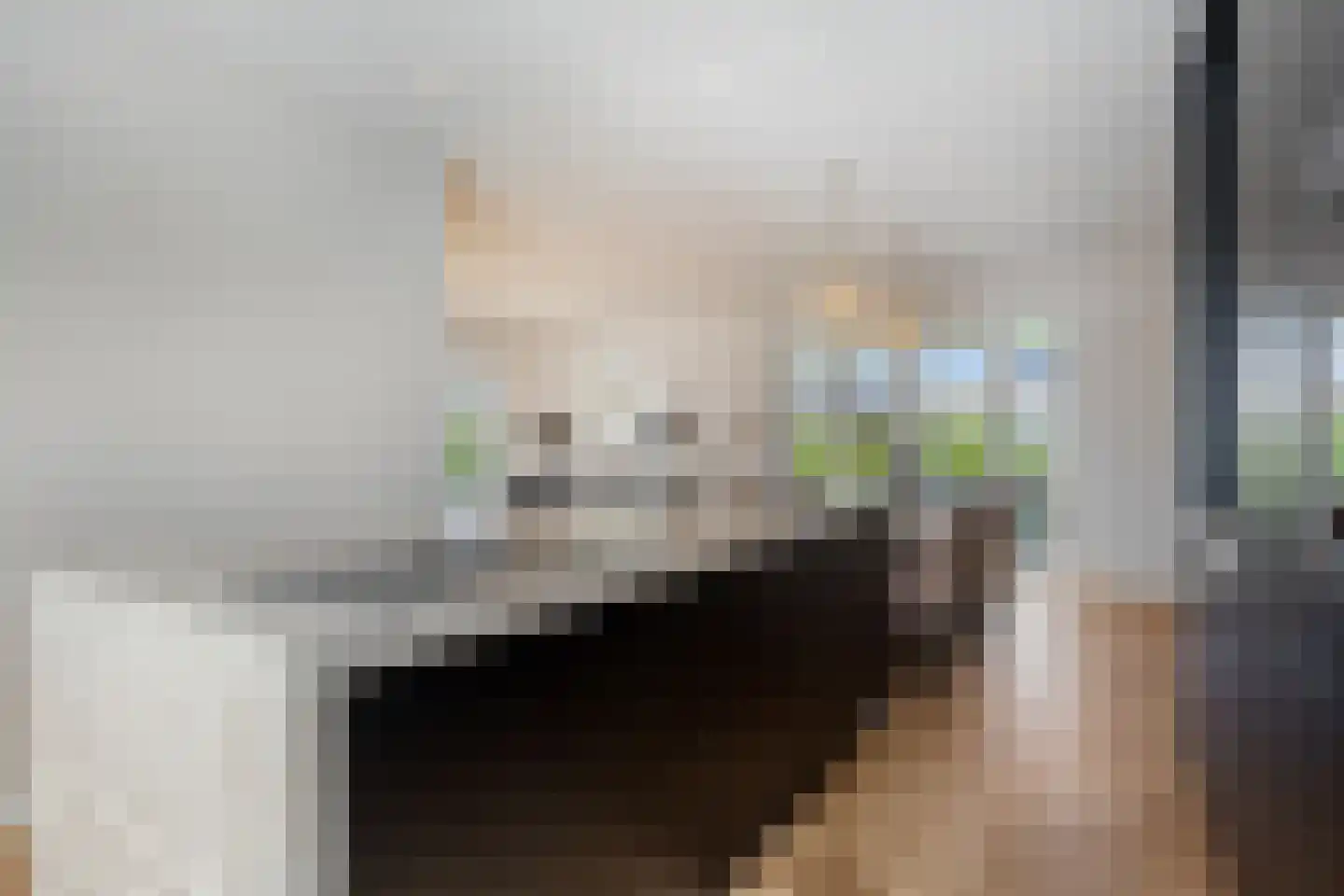 Melkveeweg 2 Middenbeemster thumbnail 60