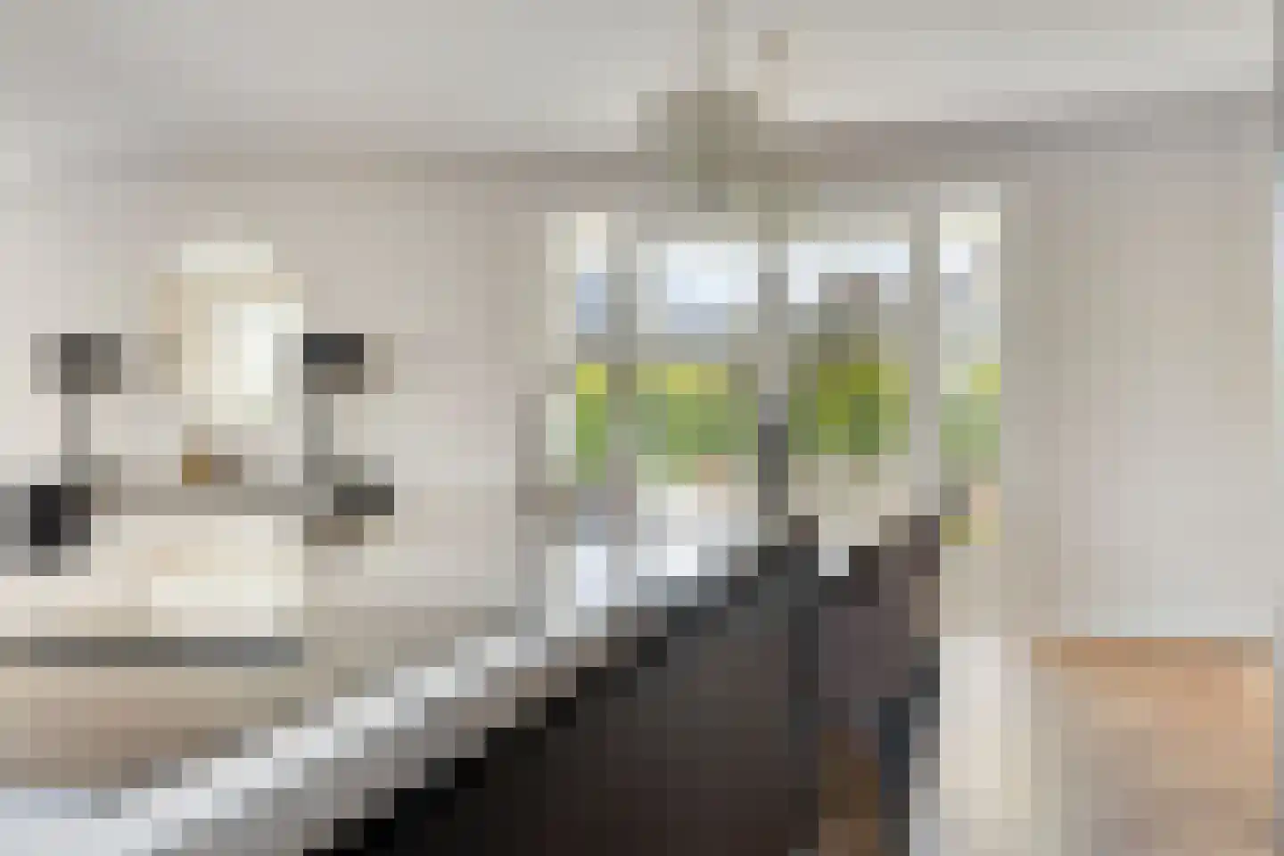 Melkveeweg 2 Middenbeemster thumbnail 61