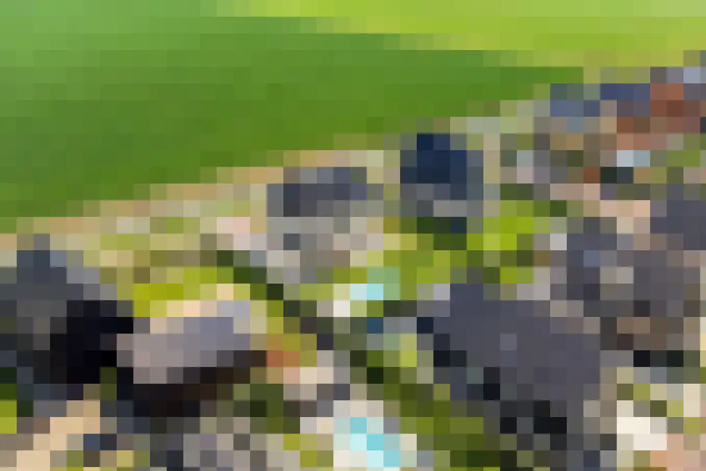 Melkveeweg 2 Middenbeemster thumbnail 63