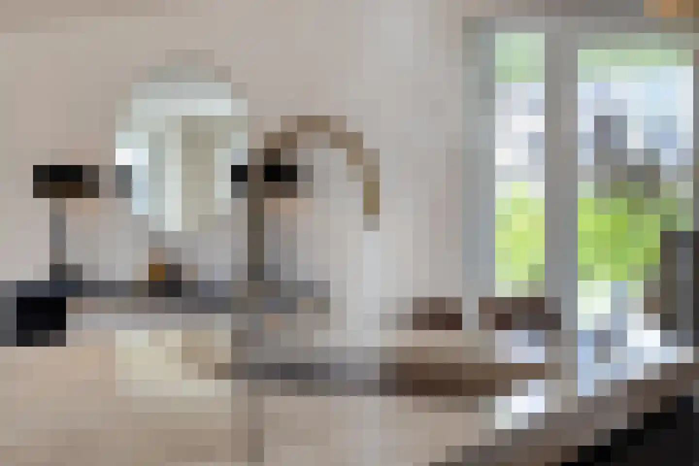 Melkveeweg 2 Middenbeemster thumbnail 65