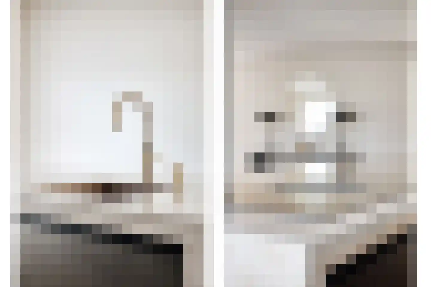 Melkveeweg 2 Middenbeemster thumbnail 66