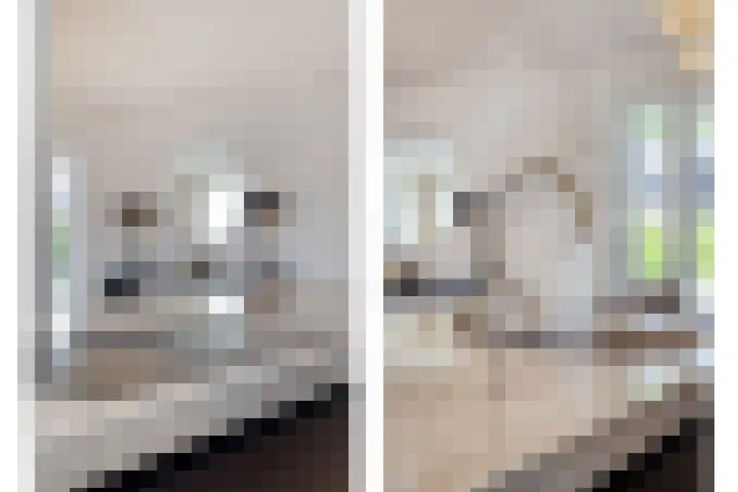 Melkveeweg 2 Middenbeemster thumbnail 69