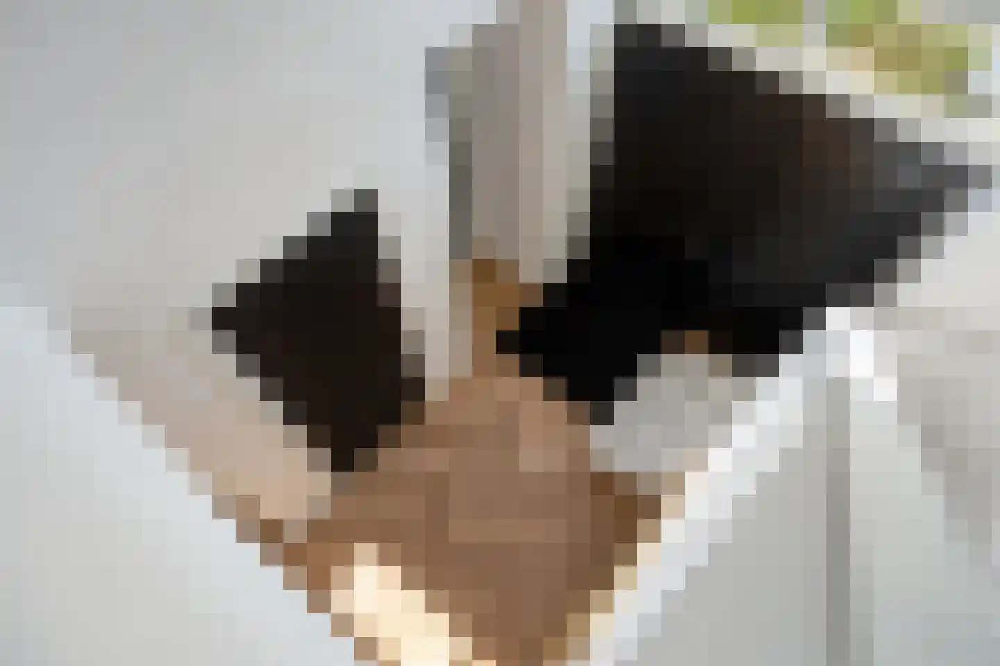 Melkveeweg 2 Middenbeemster thumbnail 74
