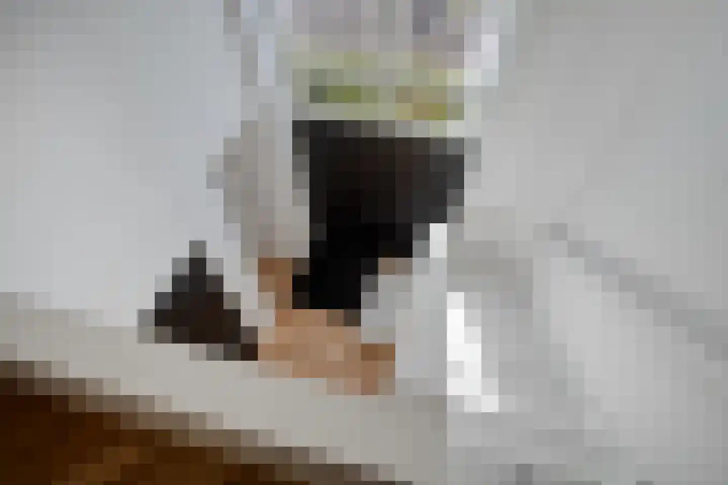 Melkveeweg 2 Middenbeemster thumbnail 76