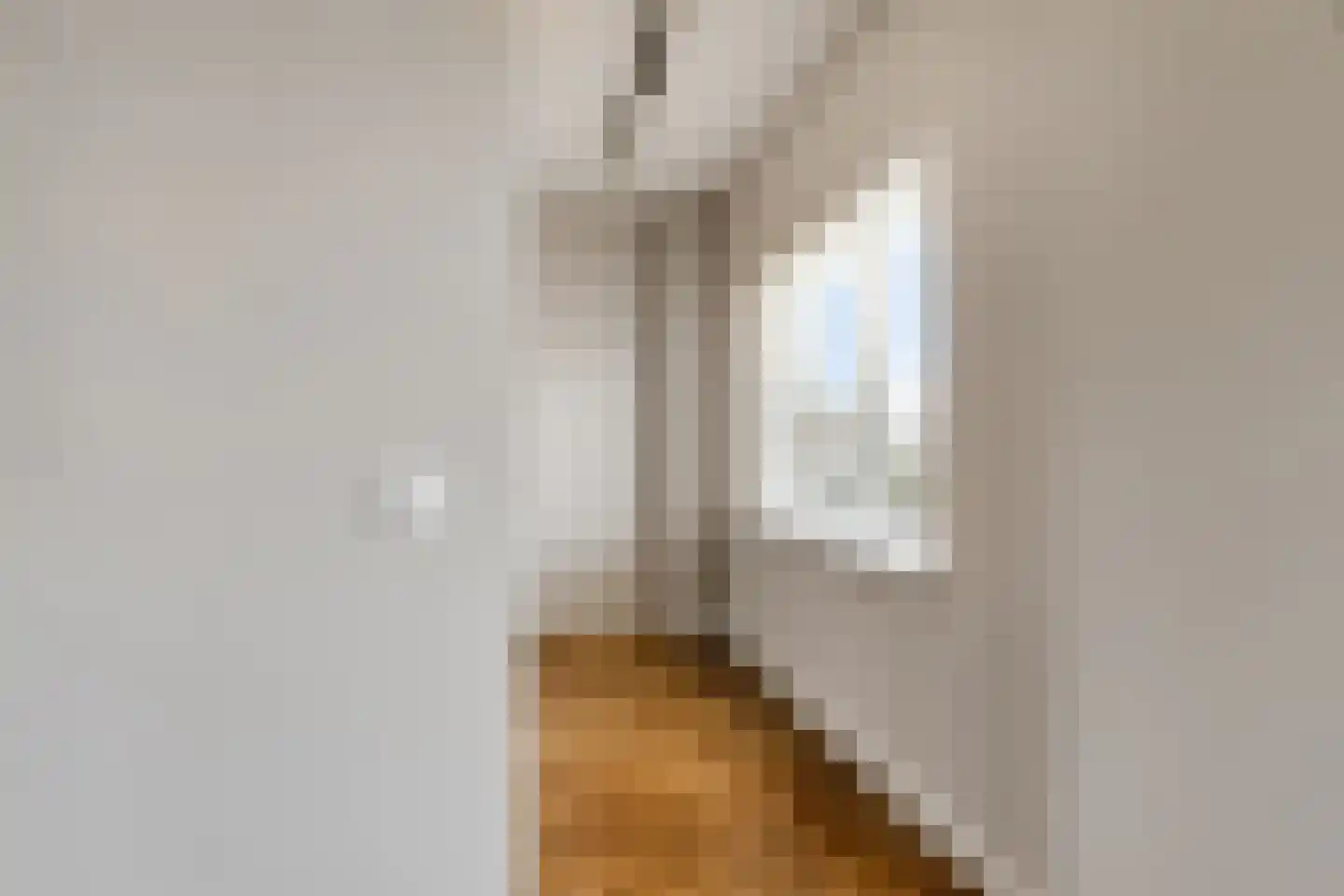 Melkveeweg 2 Middenbeemster thumbnail 83