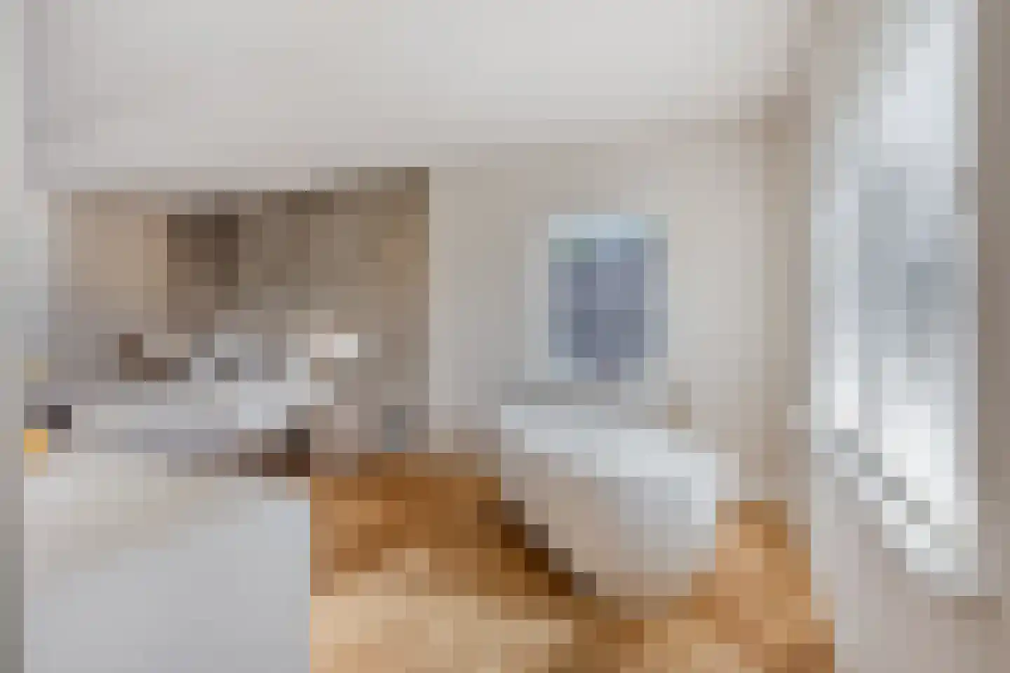 Melkveeweg 2 Middenbeemster thumbnail 86