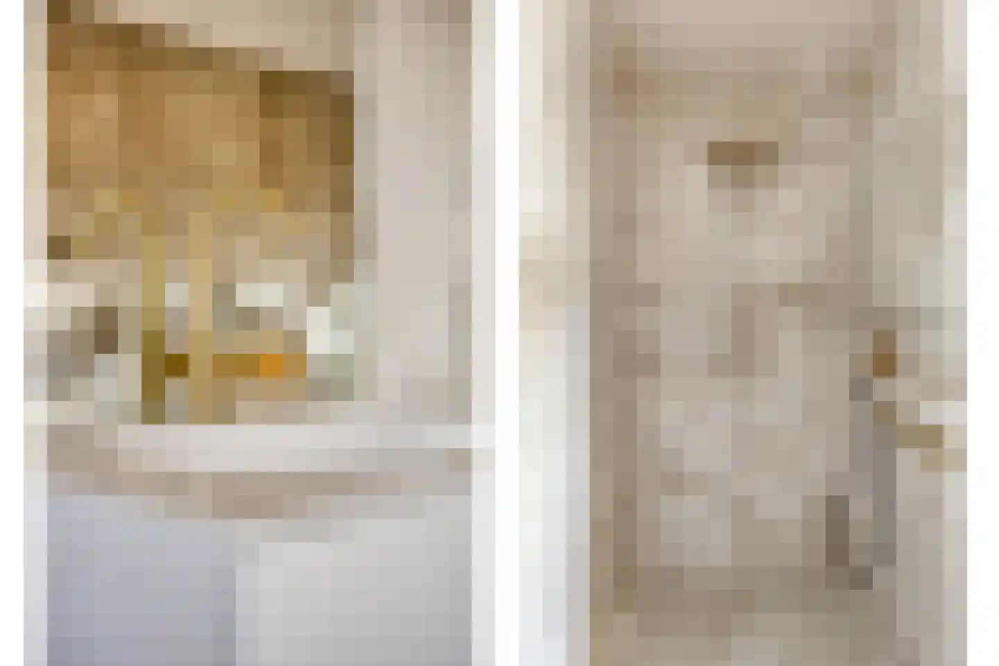 Melkveeweg 2 Middenbeemster thumbnail 89
