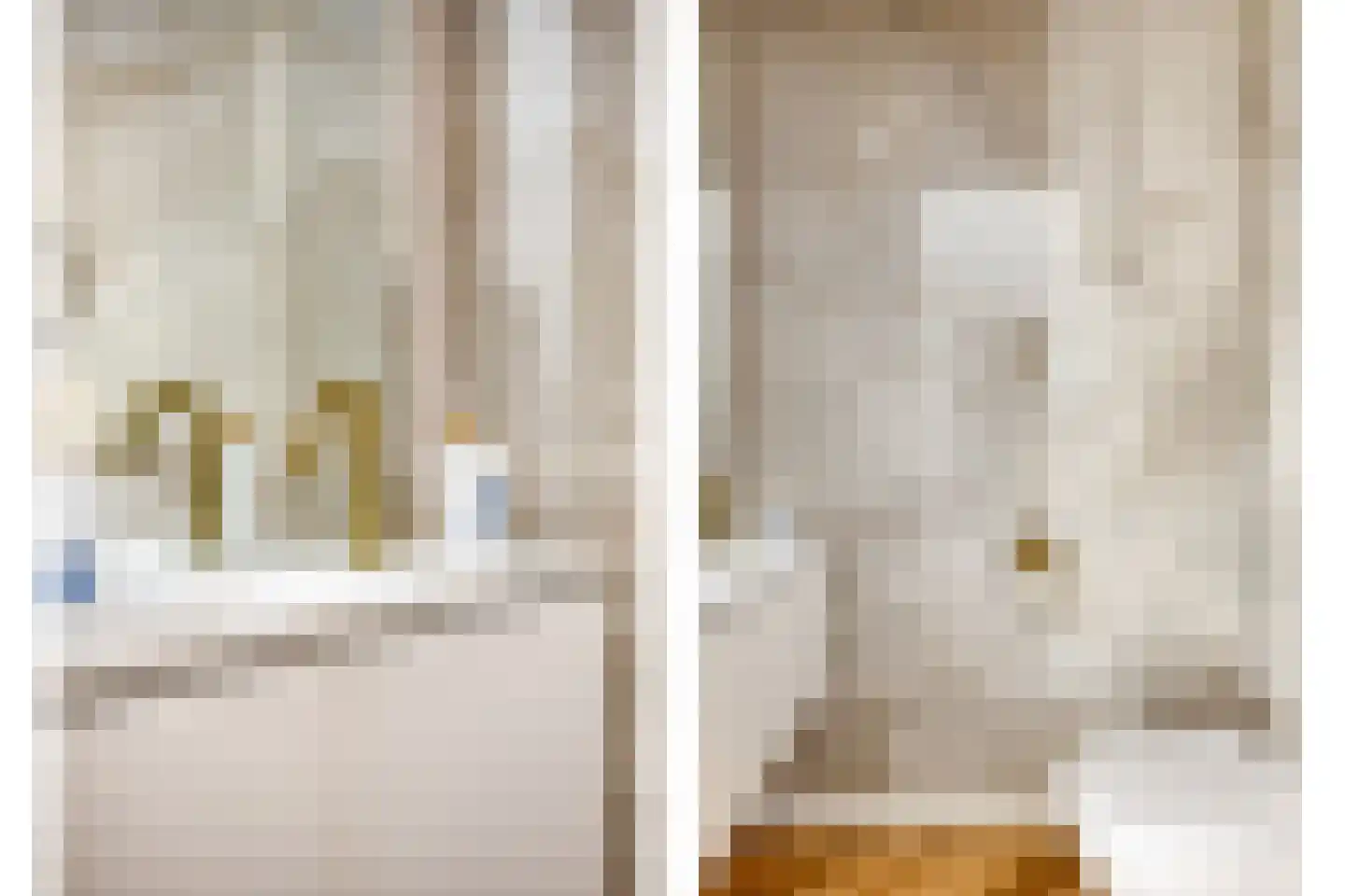 Melkveeweg 2 Middenbeemster thumbnail 9