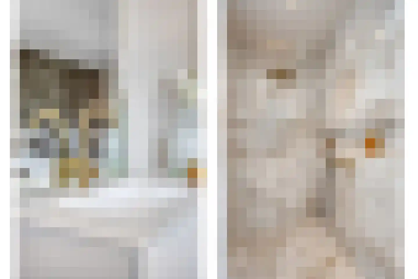 Melkveeweg 2 Middenbeemster thumbnail 90