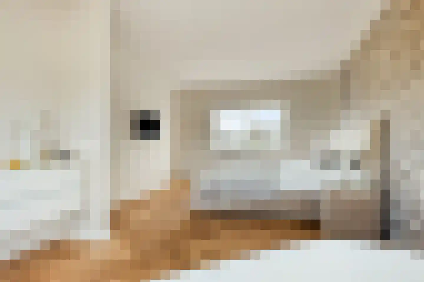 Melkveeweg 2 Middenbeemster thumbnail 91