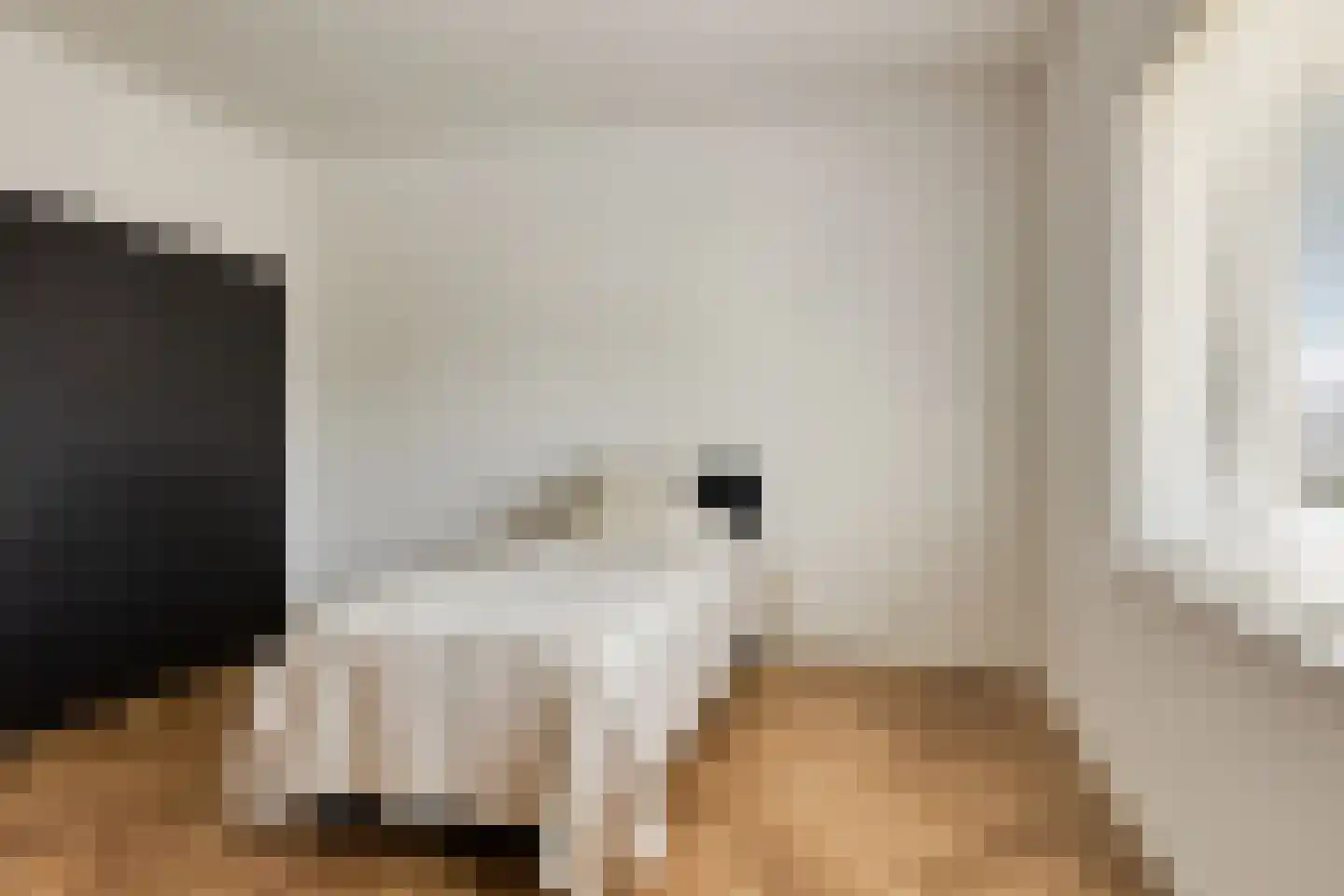 Melkveeweg 2 Middenbeemster thumbnail 95