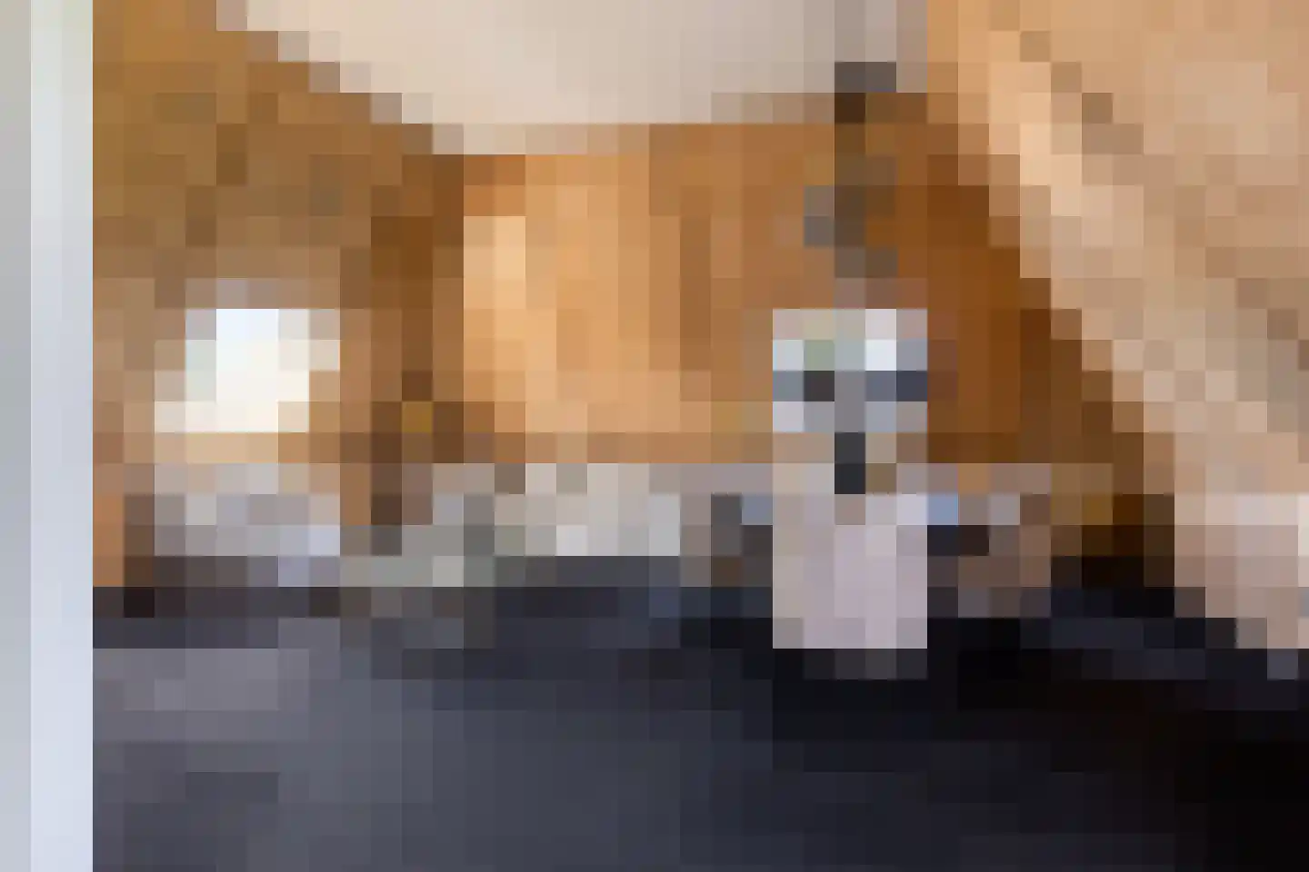 Melkveeweg 2 Middenbeemster thumbnail 98