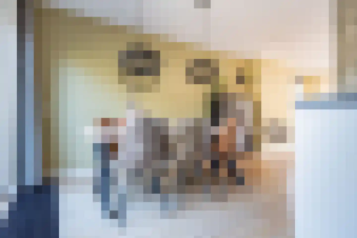 Melkvonder 1 Ulft thumbnail 16