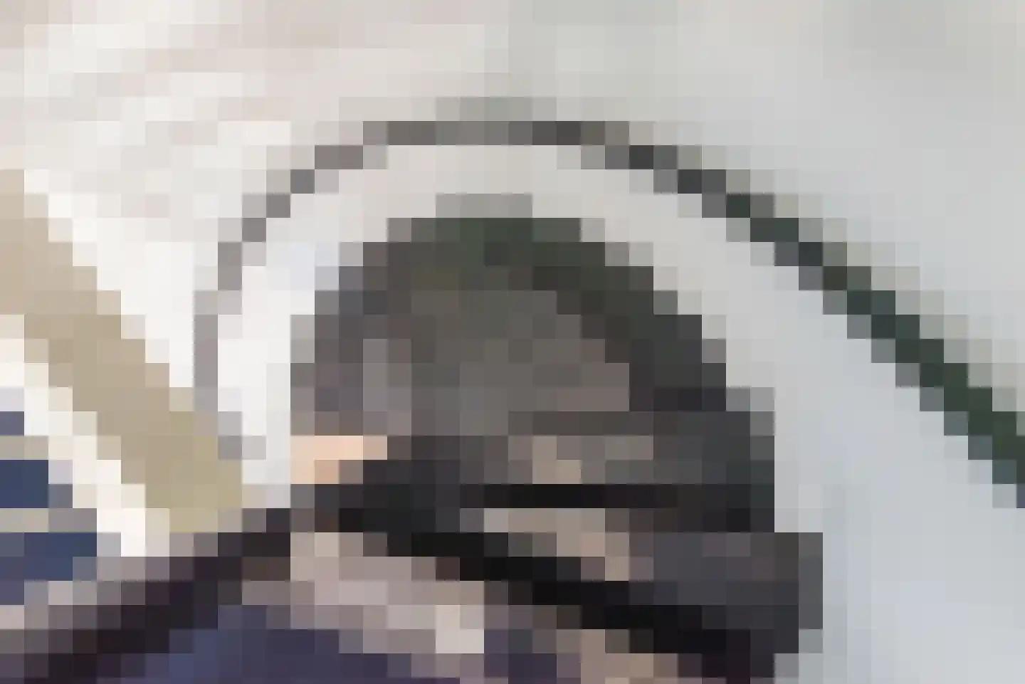 Melkvonder 1 Ulft thumbnail 24