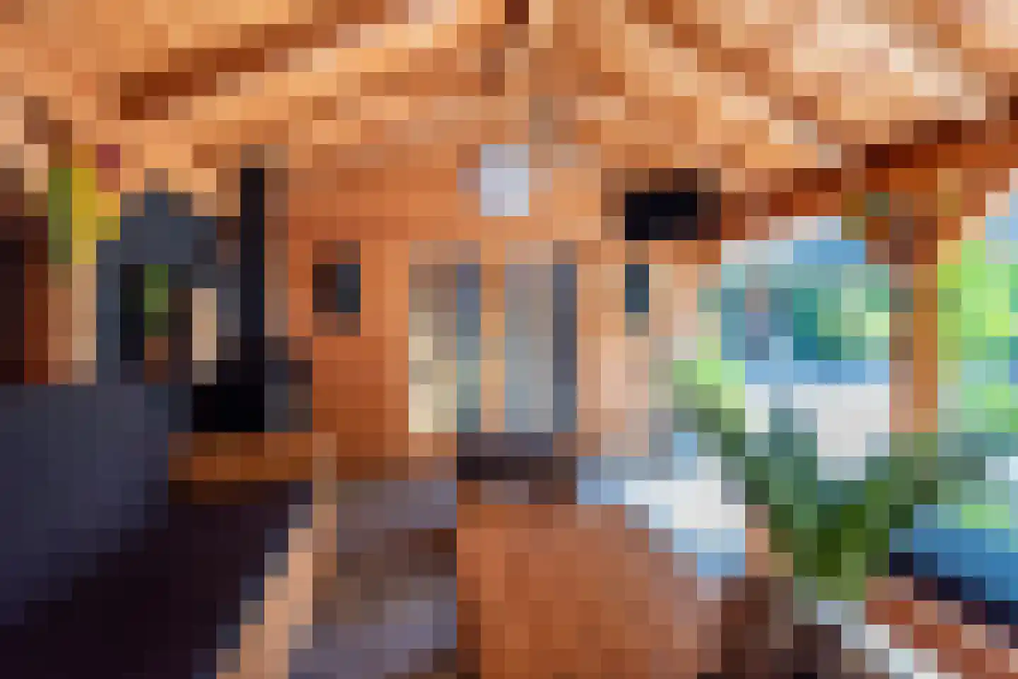 Melkvonder 1 Ulft thumbnail 45