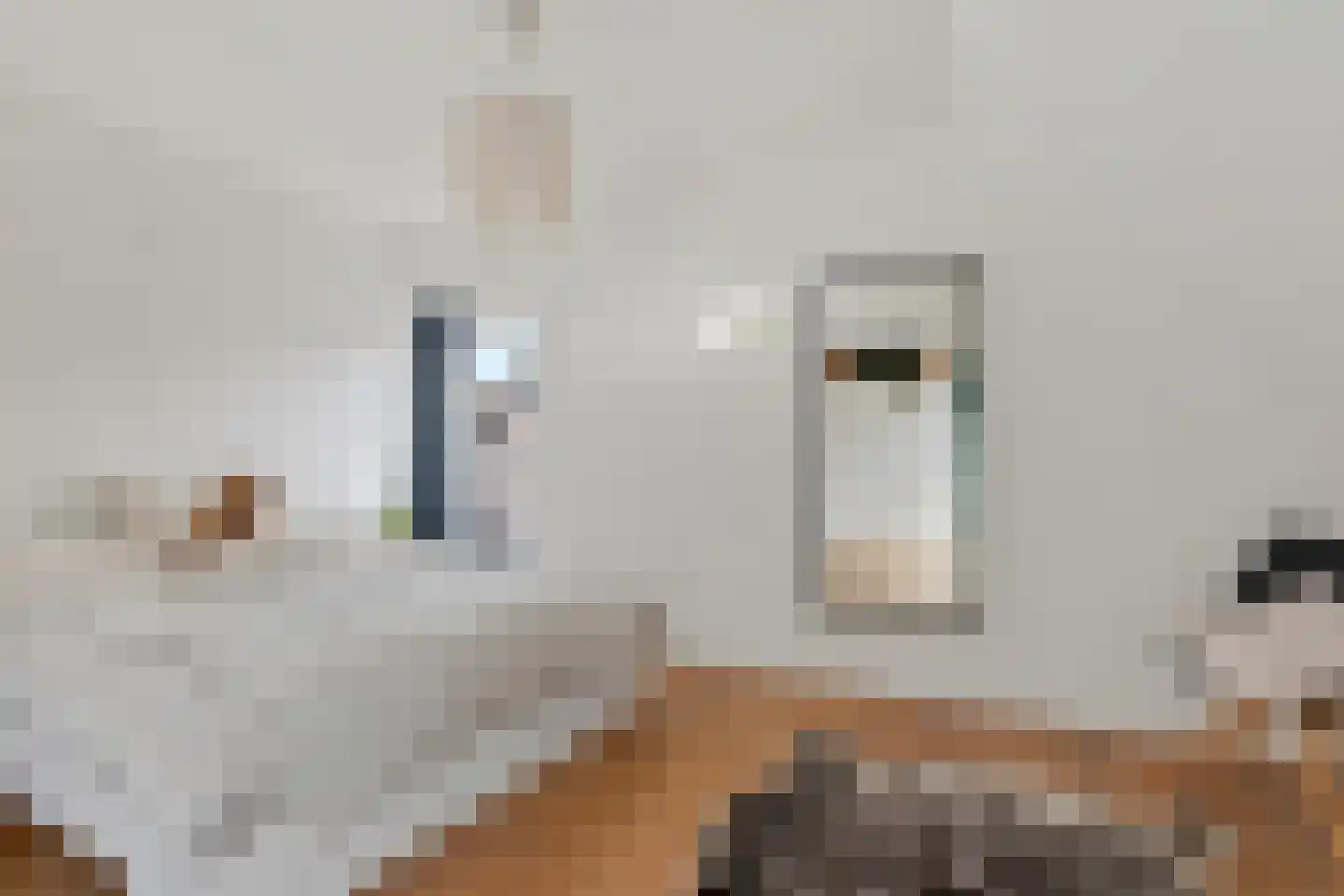 Melkweg 1 Bussum thumbnail 22